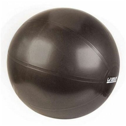 GYM BALL LS-3262-55 55CM W/MASSAGE +FOOT PUMP
