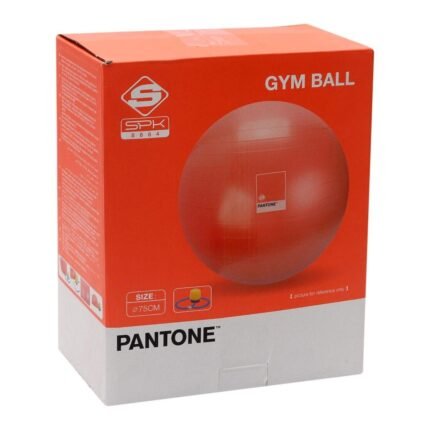 PANTONE PANT0NE GYM BALL SET(ANTI-BURST) LIVING CORAL SPK8884