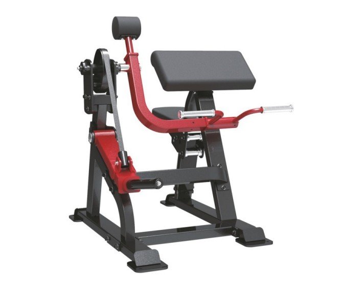 BICEP CURL SL7023 BICEP CURL SL7023