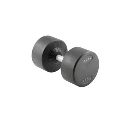 Round Rubber Dumbbell 42.5KG DZLG12 YORK